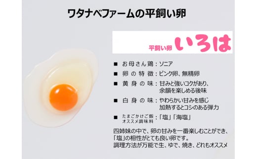 [平飼い卵30個×12か月連続定期便] 全体的に甘みとコクのある黄身【平飼い卵いろは】｜矢板市産 こだわり卵 たまご 玉子 生卵 鶏卵 [0440]