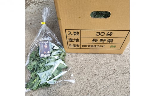 信州高原塩熟野菜 約10kg お任せ[№5915-1123]