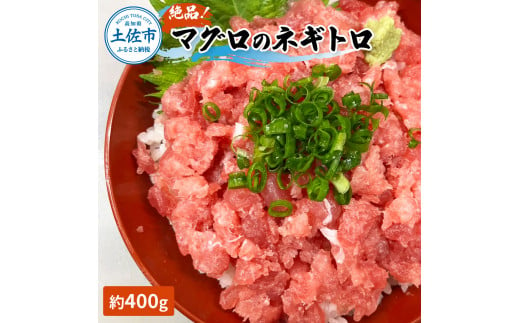 絶品！マグロのネギトロ 約400g 約3~4人前 薬味・しょうゆ付き まぐろ 鮪 ねぎとろ 魚介 海鮮 海鮮丼 お寿司 おかず おつまみ 惣菜 ご自宅用 おいしい