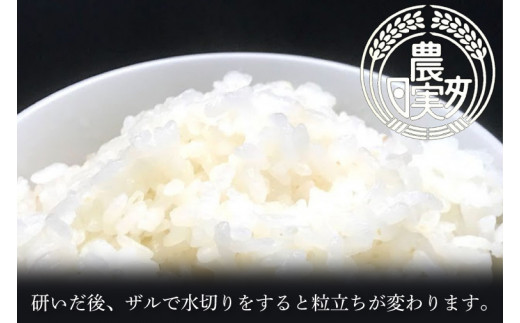 【令和6年産】学生と作ったコシヒカリ5kg【お米 米 コメ ごはん 10000円以内 1万円以内 茨城県 水戸市 水戸 】（DN-16）