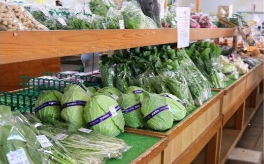 厳選・「おおばん市場」旬の野菜詰め合わせ　【11246-0038】