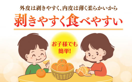 【先行予約】＜2月発送＞長崎県産 ぽんかん 5kg(2L～L・約32～40玉) 長崎県/長崎果匠 [42AABK008]