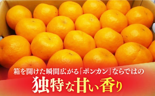 【先行予約】＜2月発送＞長崎県産 ぽんかん 5kg(2L～L・約32～40玉) 長崎県/長崎果匠 [42AABK008]