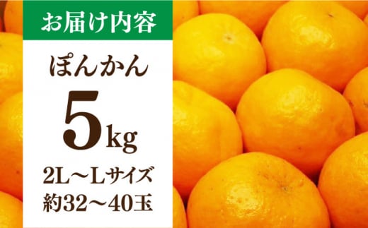 【先行予約】＜2月発送＞長崎県産 ぽんかん 5kg(2L～L・約32～40玉) 長崎県/長崎果匠 [42AABK008]