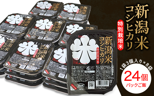 茨城県 筑西市産 コシヒカリ 10kg ( 5kg × 2袋 ) 令和6年産