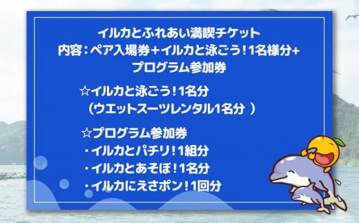 イルカと泳ごう！シングル（イルカとふれあい体験チケット）体験チケット レジャーチケット アクティビティ 動物ふれあい 大分県産 九州産 津久見市 熨斗対応