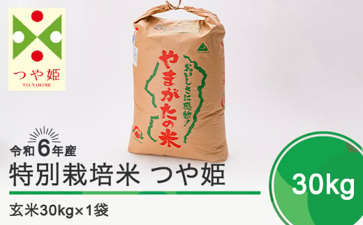 新米 令和7年4月下旬発送 つや姫30㎏ 玄米 令和6年産 ja-tsgxb30-4s