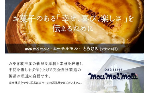 【ベイクドチーズとレアチーズ2つの味わい】ダブルチーズケーキ