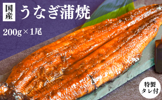 老舗の鮮魚店が作るうなぎの蒲焼 1尾