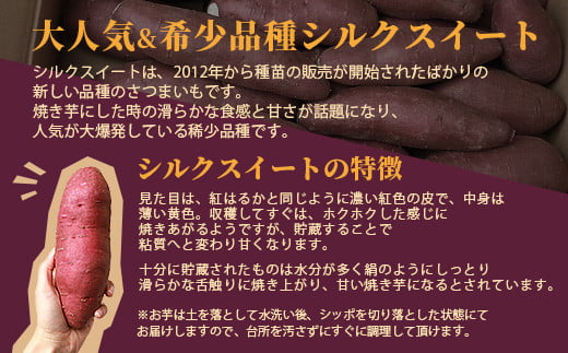 シルクスイート 〈5キロ〉 サツマイモ さつまいも 鹿児島県 A3-346【1167014】