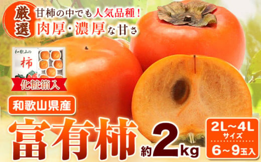 ［厳選・産直］和歌山産 の 富有柿 約 2kg（ 化粧箱 入り ）（2L～4Lサイズ） 厳選館《2024年11月上旬-12月下旬頃出荷》和歌山県 日高川町 富有柿 贈答用 柿 ギフト くだもの 旬