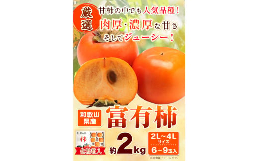 ［厳選・産直］和歌山産 の 富有柿 約 2kg（ 化粧箱 入り ）（2L～4Lサイズ） 厳選館《2024年11月上旬-12月下旬頃出荷》和歌山県 日高川町 富有柿 贈答用 柿 ギフト くだもの 旬