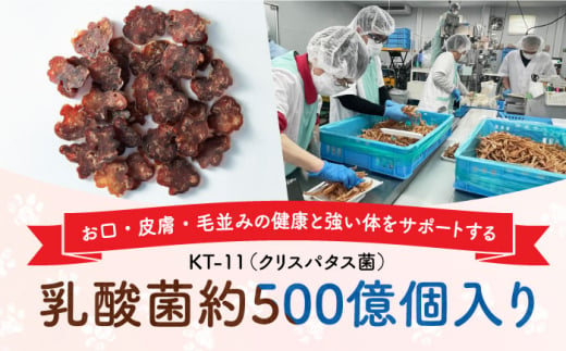 Softbits （肉）いのしし（40g×6P）長崎県/株式会社サポート [42AEAE004] 肉 ソフトビッツ ドッグ フード いぬ 犬 イヌ おやつ ペット 乳酸菌 国産 いのしし 肉 イノシシ 猪 シニア 幼犬 老犬 小分け 小型犬 中型犬 大型犬 ドック 安心 犬のおやつ