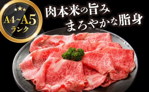 【全12回定期便】【A4～A5】長崎和牛しゃぶしゃぶすき焼き用（肩ロース肉・肩バラ・モモ肉）400g【株式会社 MEAT PLUS】 [DBS068]