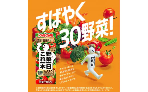 【定期便 9ヶ月】 カゴメ 野菜一日これ一本 24本×9回 【 野菜ジュース 紙パック 定期便 1日分の野菜 野菜100％ 飲料類 ドリンク 備蓄 長期保存 防災 無添加 砂糖不使用 甘味料不使用 食塩不使用 栄養強化剤不使用 かごめ kagome KAGOME 長野県 富士見町 】