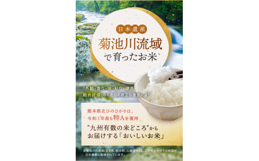 令和6年産 新米  熊本県産 ひのひかり 白米 15kg | 小分け 5kg × 3袋  熊本県産 特A獲得品種 米 白米 ごはん 銘柄米 ブランド米 単一米 人気 日本遺産 菊池川流域 こめ作り ごはん ふるさと納税 返礼品 