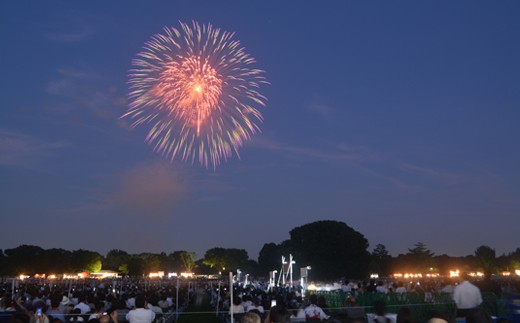 立川まつり国営昭和記念公園花火大会観覧ペアチケット