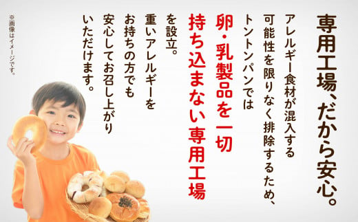 パン 「3ヶ月定期便（毎月）」【卵・乳アレルギー対応】学校給食パンセット（全10種類） 冷凍