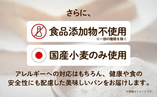 パン 「3ヶ月定期便（毎月）」【卵・乳アレルギー対応】学校給食パンセット（全10種類） 冷凍