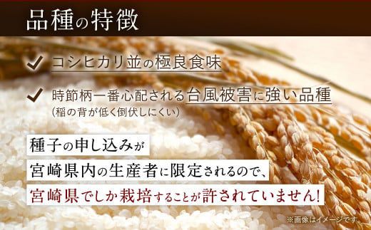 宮崎県産夏の笑み（無洗米）10kg(5kg×2袋) 3か月定期便