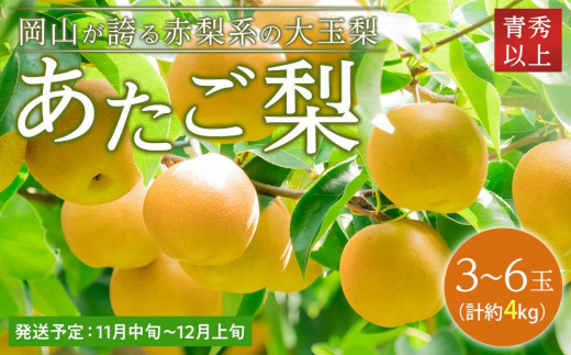 梨 2025年 先行予約 あたご梨 青秀クラス以上 3～6玉 約4kg  なし ナシ 岡山県産 国産 フルーツ 果物 ギフト