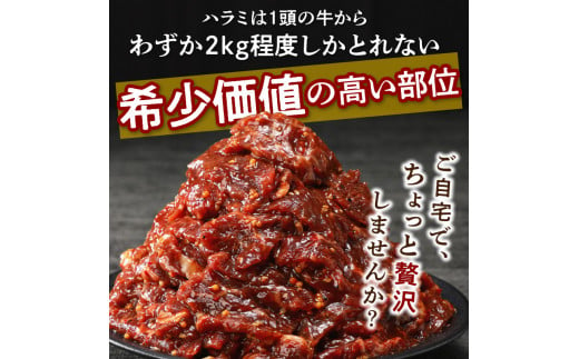 播州で愛される秘伝の焼肉タレ漬け牛肉 播州ハラミ肉 1kg《肉 食品 焼肉 送料無料 やわらか ハラミ 焼肉セット バーベキュー 肉 バーベキューセット BBQセット》【2401A00412】