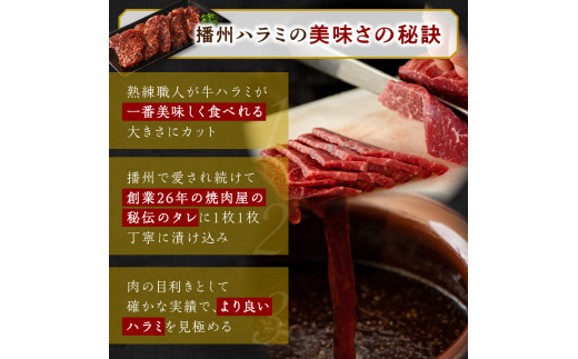 播州で愛される秘伝の焼肉タレ漬け牛肉 播州ハラミ肉 1kg《肉 食品 焼肉 送料無料 やわらか ハラミ 焼肉セット バーベキュー 肉 バーベキューセット BBQセット》【2401A00412】