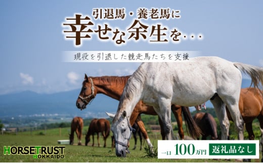 【引退競走馬 余生支援】北海道 岩内町 ホーストラスト北海道支援 100万円コース 引退馬 F21H-561