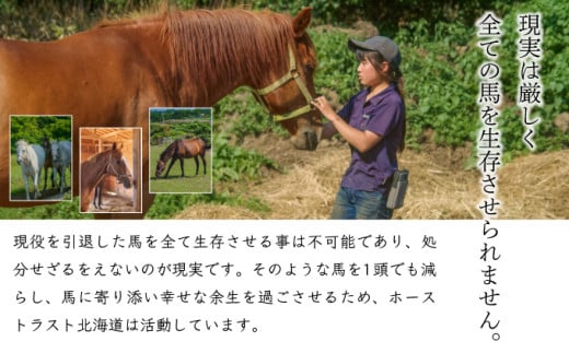 【引退競走馬 余生支援】北海道 岩内町 ホーストラスト北海道支援 100万円コース 引退馬 F21H-561