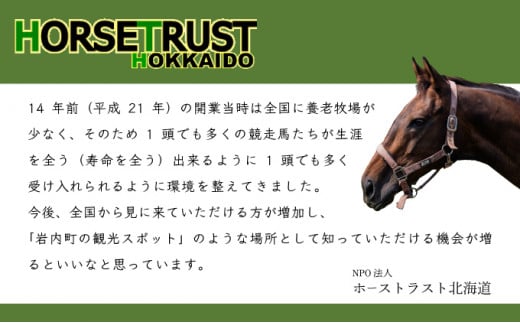 【引退競走馬 余生支援】北海道 岩内町 ホーストラスト北海道支援 100万円コース 引退馬 F21H-561