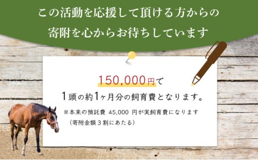 【引退競走馬 余生支援】北海道 岩内町 ホーストラスト北海道支援 100万円コース 引退馬 F21H-561