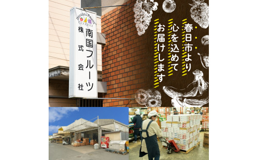 果物屋さんが選んだ米食べ比べ「夢つくし&元気つくし」(2.5kg×2種・合計5kg)お米 白米 5キロ ごはん ご飯 常温 常温保存【ksg0165】【南国フルーツ】