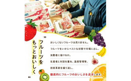 果物屋さんが選んだ米食べ比べ「夢つくし&元気つくし」(2.5kg×2種・合計5kg)お米 白米 5キロ ごはん ご飯 常温 常温保存【ksg0165】【南国フルーツ】