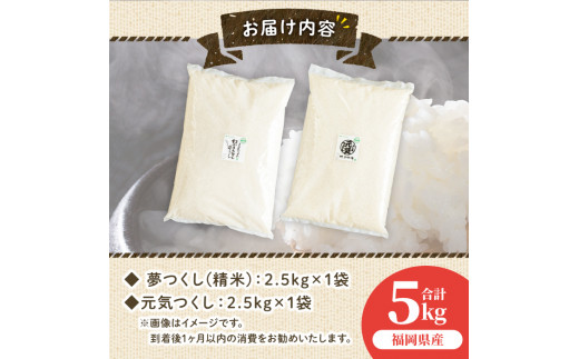 果物屋さんが選んだ米食べ比べ「夢つくし&元気つくし」(2.5kg×2種・合計5kg)お米 白米 5キロ ごはん ご飯 常温 常温保存【ksg0165】【南国フルーツ】