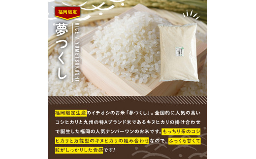 果物屋さんが選んだ米食べ比べ「夢つくし&元気つくし」(2.5kg×2種・合計5kg)お米 白米 5キロ ごはん ご飯 常温 常温保存【ksg0165】【南国フルーツ】