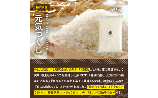 果物屋さんが選んだ米食べ比べ「夢つくし&元気つくし」(2.5kg×2種・合計5kg)お米 白米 5キロ ごはん ご飯 常温 常温保存【ksg0165】【南国フルーツ】