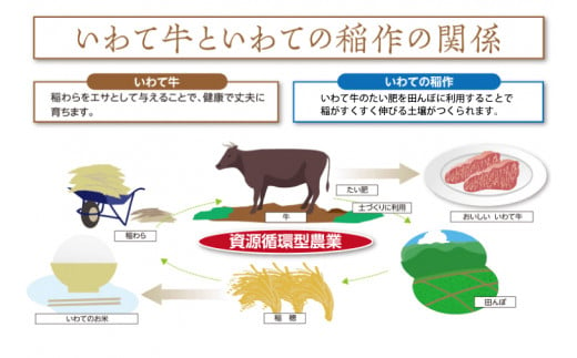 【岩手県産 黒毛 和牛】いわて牛 切り落とし 肉 750g セット( 250g ×3パック) （AB006-1）