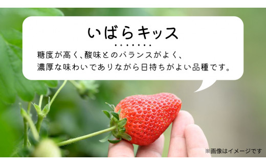 【 先行予約 】 【 定期コース 】 厳選 いちご 4パック 【 毎月 第3木曜に全3回発送 初回発送 2025年1月23日 】 ( 茨城県共通返礼品 : 常陸太田市 ) 約260g×4パック いばらキッス ひたち姫 やよいひめ から 厳選して お届け 定期便 いちご 数量限定 果物 くだもの フルーツ 苺 イチゴ 数量限定