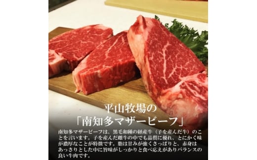 ＜数量限定＞牛肉 サーロインステーキ 170g×4枚 南知多マザービーフ 国産牛