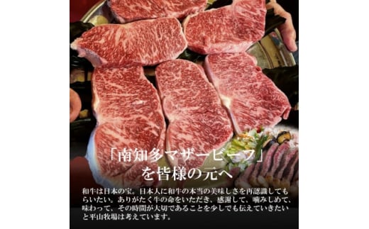 ＜数量限定＞牛肉 サーロインステーキ 170g×4枚 南知多マザービーフ 国産牛