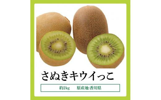 さぬきキウイっこ　約2kg【2024-10月下旬～2024-12月下旬配送】