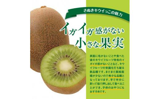 さぬきキウイっこ　約2kg【2024-10月下旬～2024-12月下旬配送】