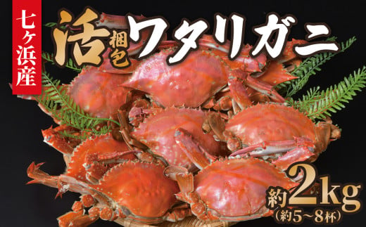 七ヶ浜産 ワタリガニ 約 2kg ( 5〜8杯 ) 活 梱包 《11月発送》 ｜ 七ヶ浜町 漁協 かに カニ 蟹 渡り蟹 ボイル パスタ ガザミ 国産 天然 茹でガニ 新鮮 ｜ jf-wg02-R6