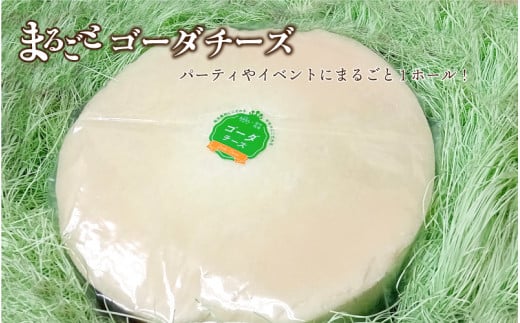 まるごと ゴーダチーズホール (8kg×2個)