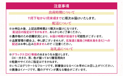 福岡産【冬】あまおうDX（デラックス）2パック いちご 苺 果物 フルーツ 九州産 福岡県産 冷蔵 送料無料 【11月下旬発送開始予定】 イチゴ フルーツ 果物 くだもの ブランド 国産 甘味 果汁