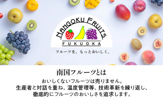 福岡産【冬】あまおうDX（デラックス）2パック いちご 苺 果物 フルーツ 九州産 福岡県産 冷蔵 送料無料 【11月下旬発送開始予定】 イチゴ フルーツ 果物 くだもの ブランド 国産 甘味 果汁