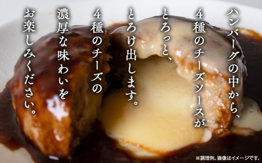 極み焼きハンバーグ（4種のチーズソース）セット 加工食品 惣菜 レトルト