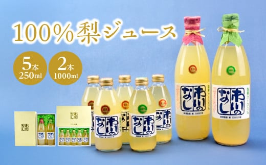 果汁１００％梨ジュース　250ml＆1000mlセット　【12203-0051】