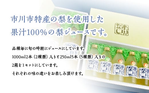 果汁１００％梨ジュース　250ml＆1000mlセット　【12203-0051】