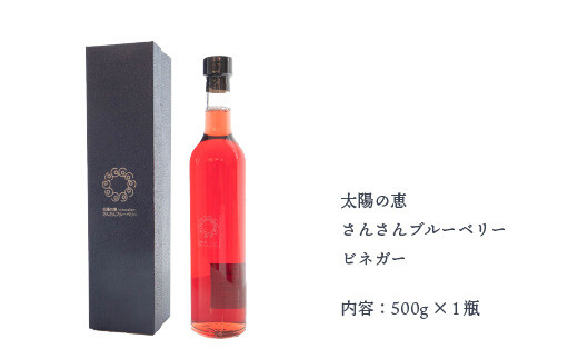 ブルーベリー ビネガー 酢 調味料 500ml × 1瓶 高知県 須崎市